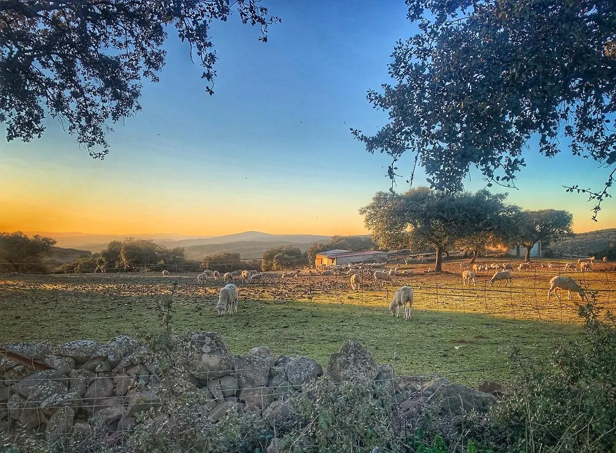 Casa Rural Los Altos Ojuelos Altos