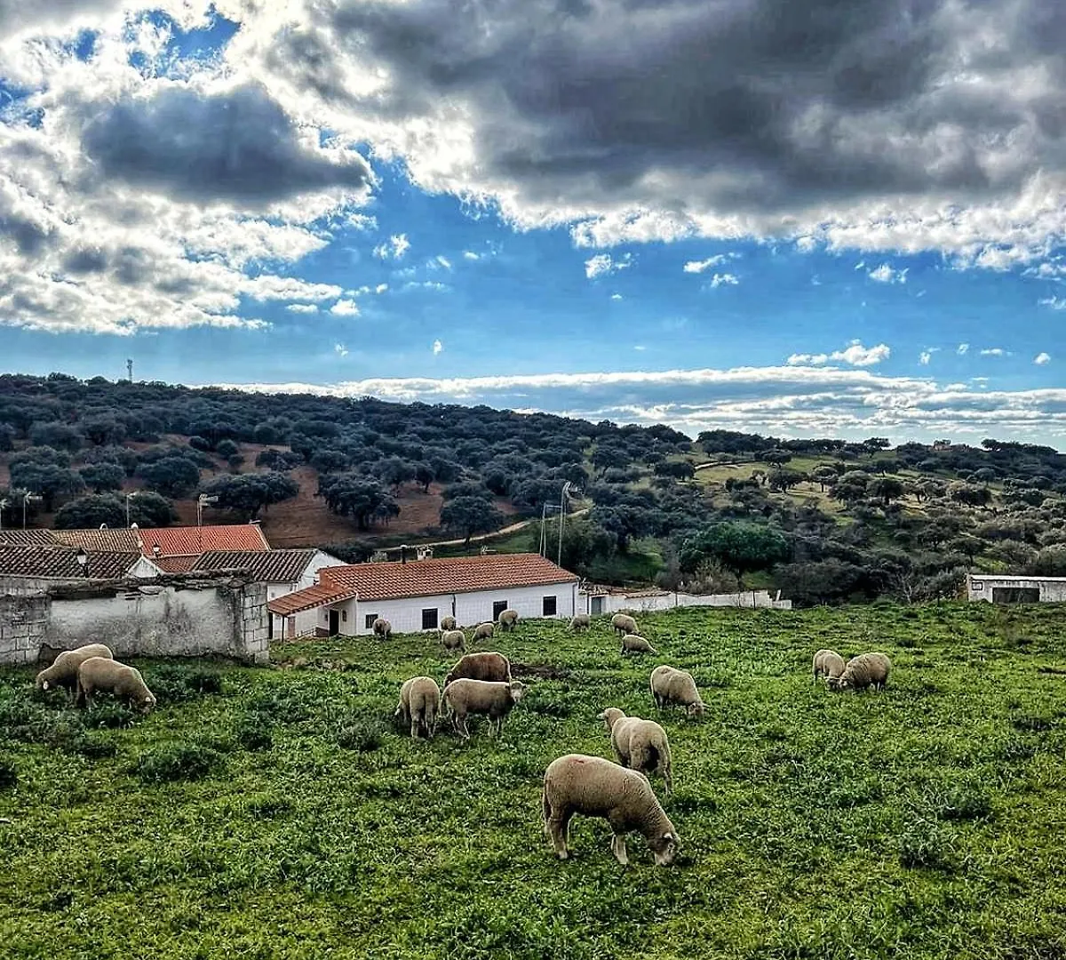 Casa Rural Los Altos Ojuelos Altos Spain